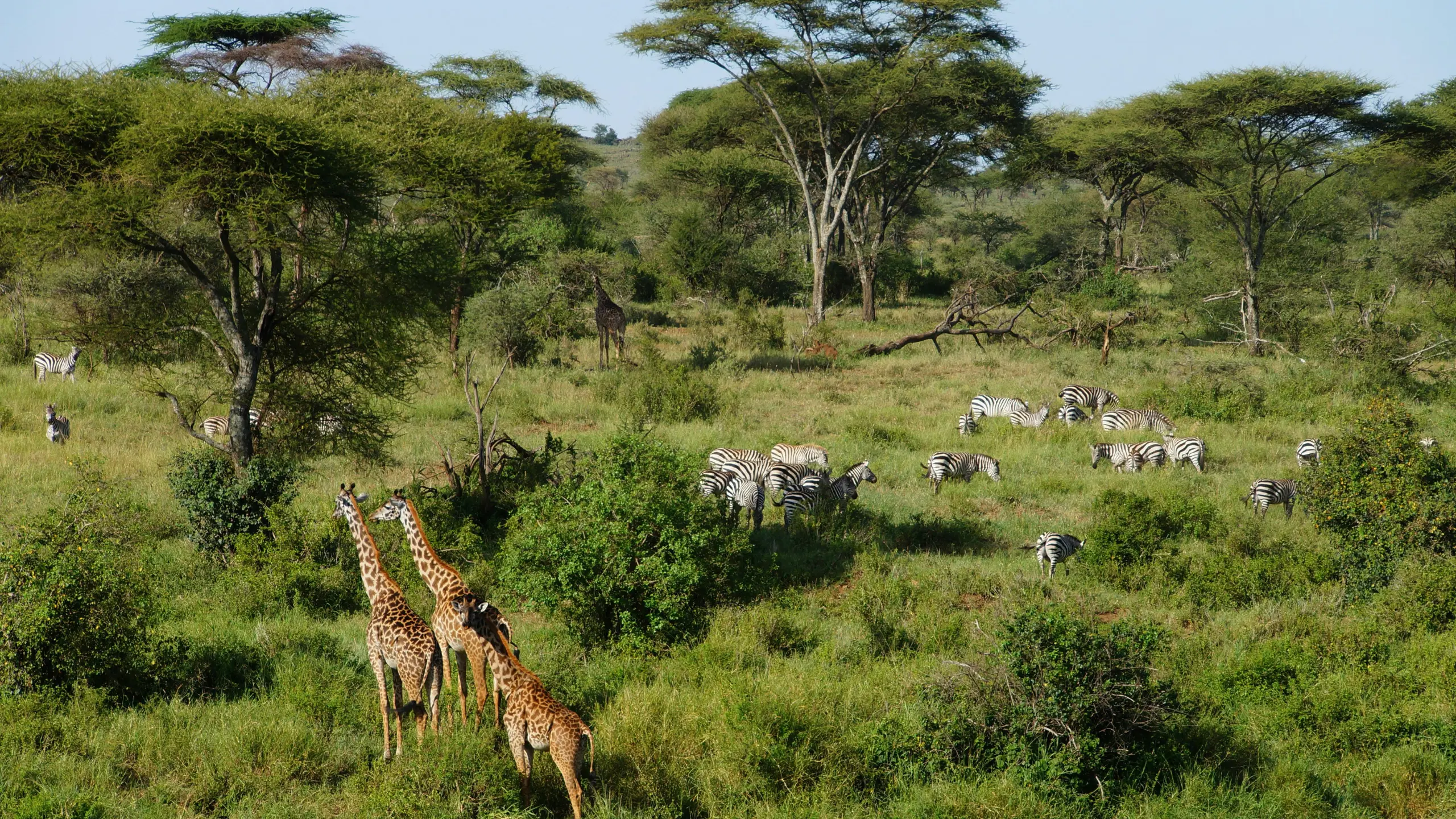 Arusha Region, Tansania